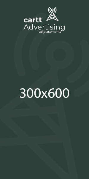 300x600x